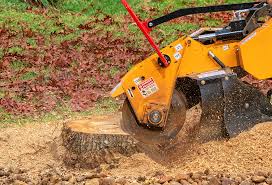 How Our Tree Care Process Works  in  Garden City Park, NY