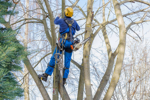 Soil Testing and Treatment in Garden City Park, NY